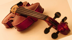 �o�C�I����